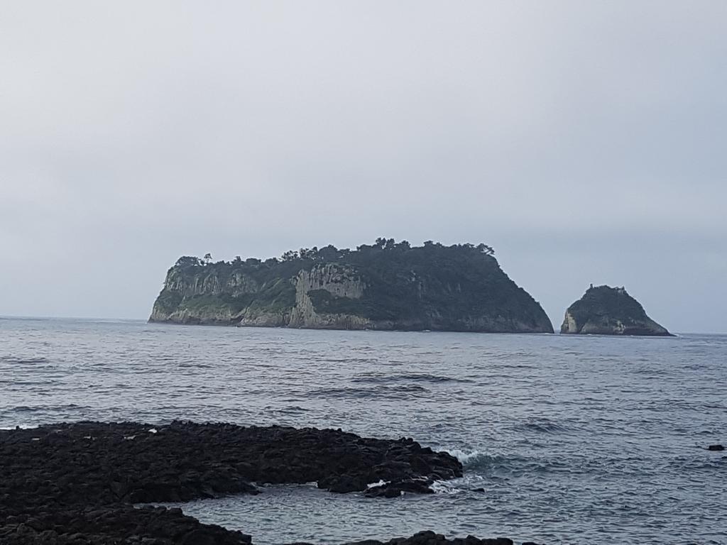 Вилла Jeju Amoje Согвипхо Экстерьер фото
